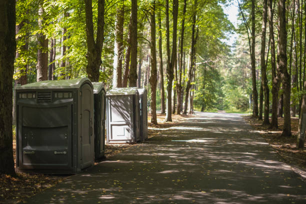 Best Local porta potty services  in Cashton, WI